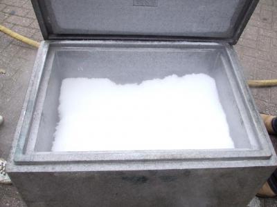 Droogijs pellets